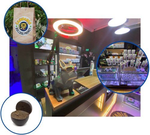 bulldog phuket cannabis shop