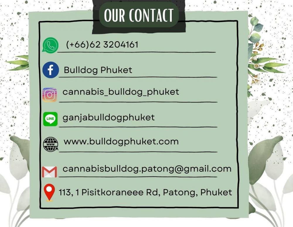 buy weed phuket