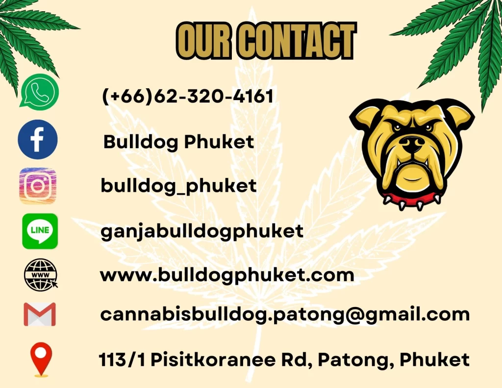 Contact Bulldog Phuket