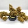 Amnesia Haze Phuket