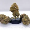 Lemon Cherry Gelato